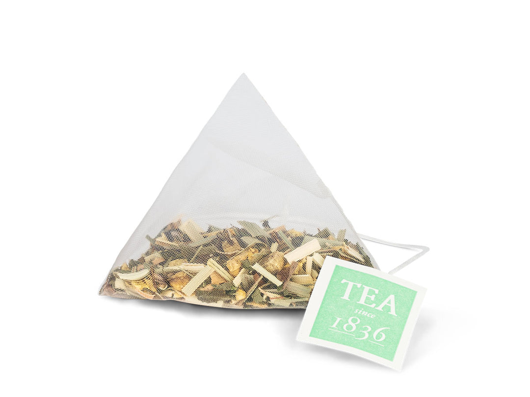 Kräuterteemischung Ingwer-Fresh-Tee (15 Pyramidenbeutel)